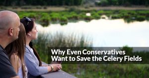 Why Even Conservatives Want to Save the Celery Fields in Sarasota